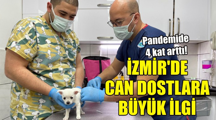 İzmir de can dostlara büyük ilgi!