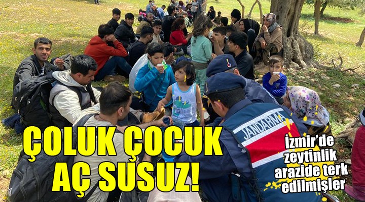 İzmir de çoluk çocuk aç susuz kalan göçmenler kurtarıldı