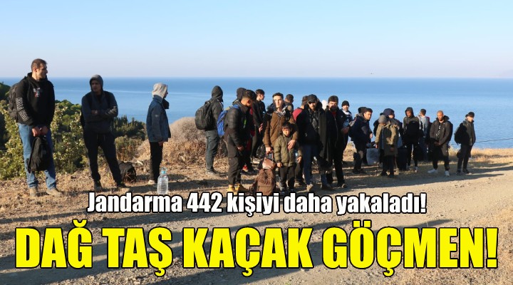 İzmir de dağ taş kaçak göçmen!