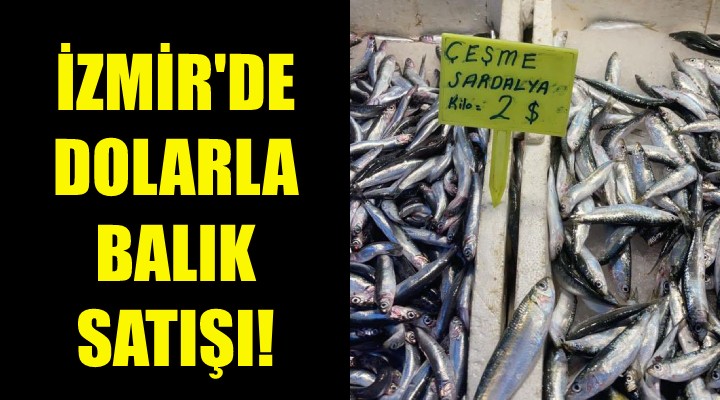 İzmir de dolarla balık satışı!