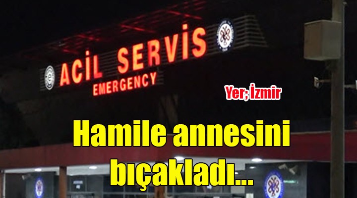 İzmir de evlat dehşeti: 6 aylık hamile annesini 15 yerinden bıçakla yaraladı