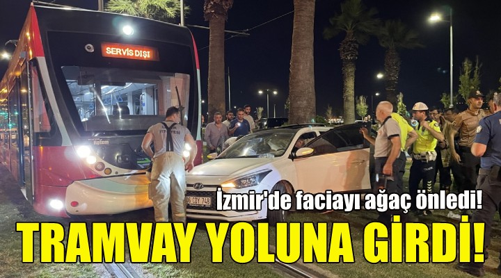 İzmir de faciayı ağaç önledi!