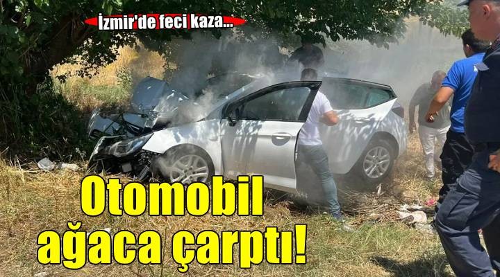 İzmir'de feci kaza: Otomobil ağaca çarptı!