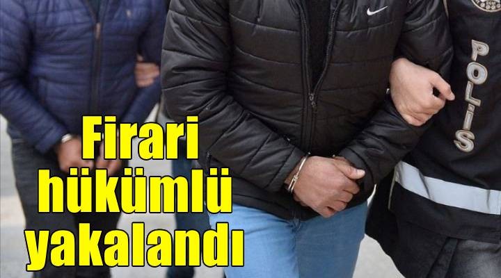 İzmir'de firari hükümlü yakalandı