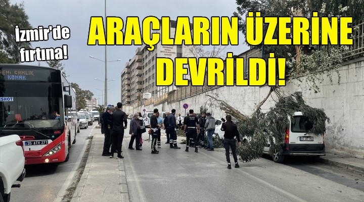 İzmir de fırtına... Araçların üzerine devrildi!