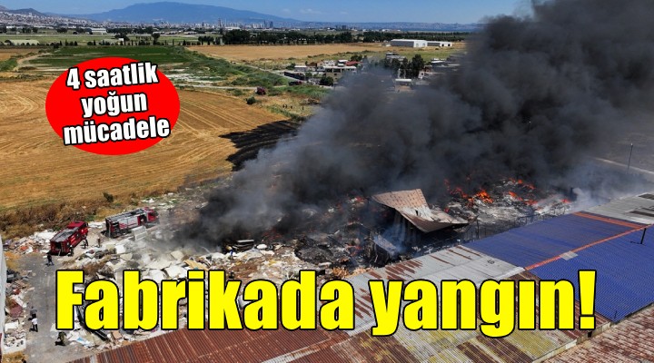 İzmir'de geri dönüşüm fabrikasında yangın!
