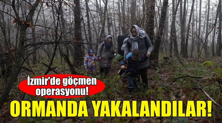 İzmir de göçmen operasyonu... Ormanda yakalandılar!