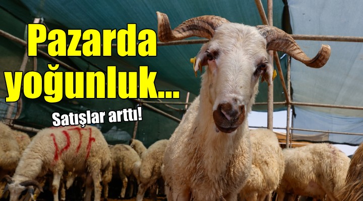 İzmir de hayvan pazarlarında yoğunluk..