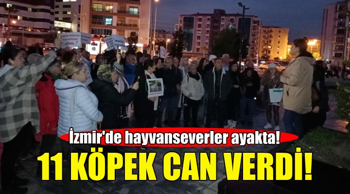 İzmir de hayvanseverler ayakta...11 köpek can verdi!