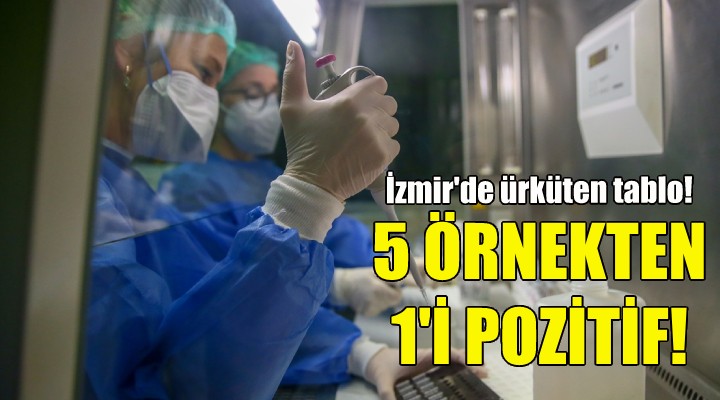 İzmir de her 5 örnekten biri pozitif!