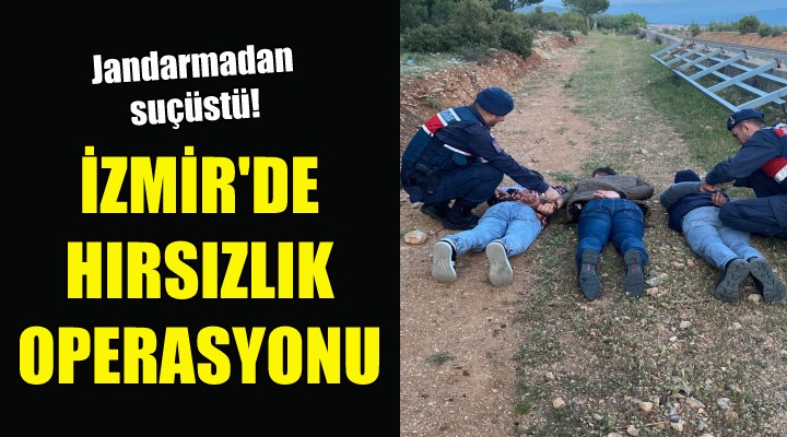 İzmir de hırsızlık operasyonu!