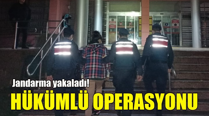 İzmir de hükümlü operasyonu!