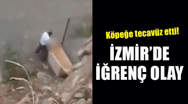 İzmir de iğrenç olay... Köpeğe tecavüz etti!