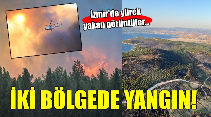 İzmir de iki bölgede orman yangını!