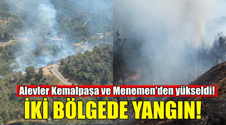 İzmir de iki bölgede orman yangını!