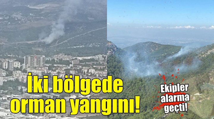 İzmir de iki bölgede orman yangını!