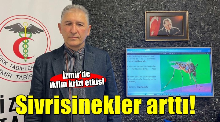 İzmir de iklim krizi etkisi... Sivrisinekler arttı!