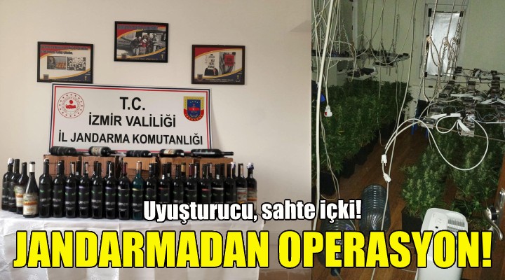 İzmir de jandarmadan operasyon!