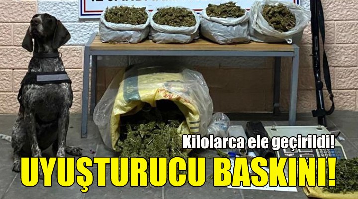 İzmir de jandarmadan uyuşturucu operasyonu!