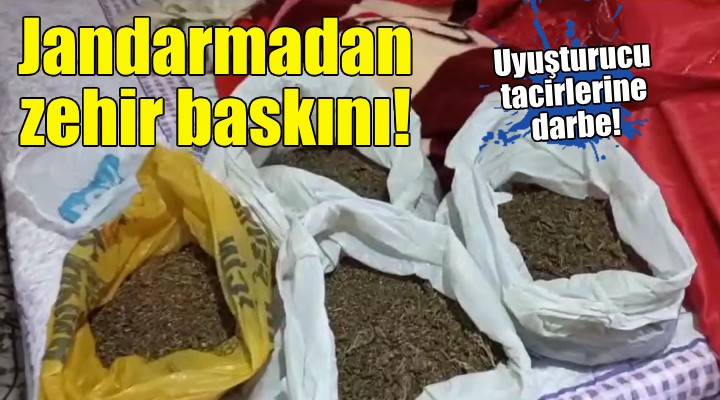 İzmir de jandarmadan uyuşturucu operasyonu!