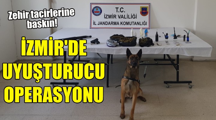 İzmir de jandarmadan uyuşturucu operasyonu!