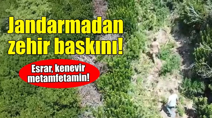 İzmir de jandarmadan zehir baskını!