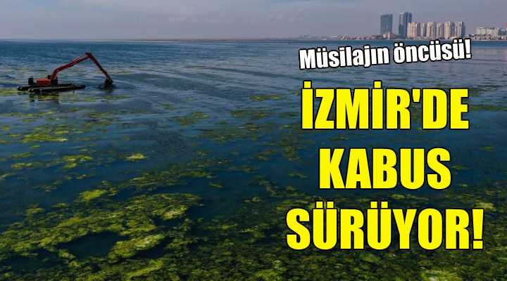 İzmir de kabus sürüyor!