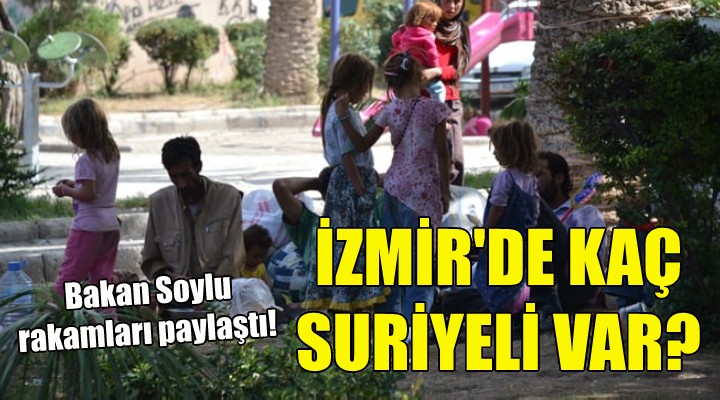 İzmir de kaç Suriyeli var!