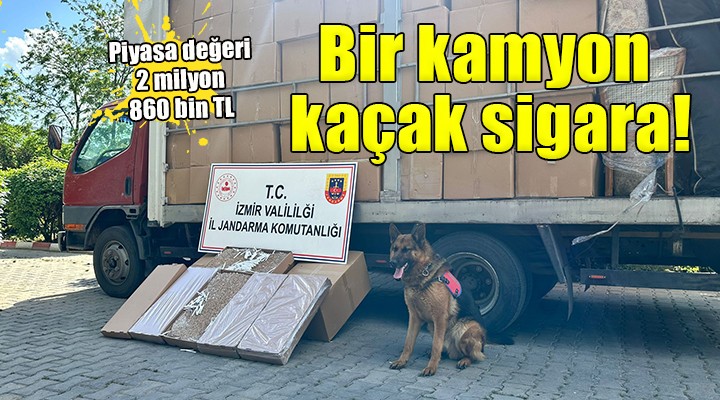 İzmir de kaçak sigara operasyonu...