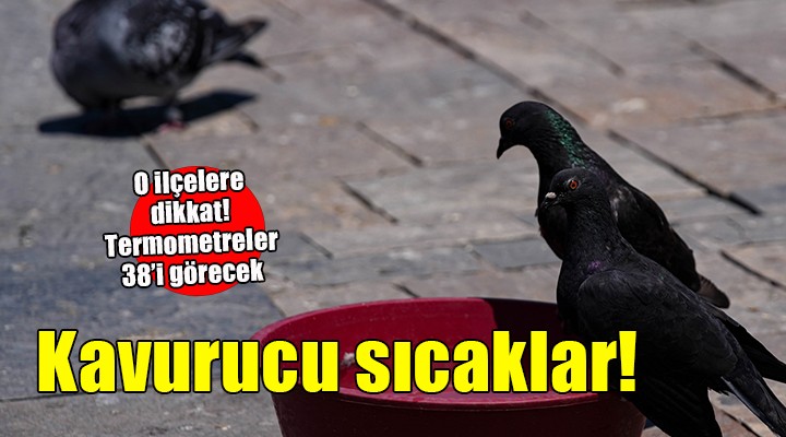 İzmir de kavurucu sıcaklar!