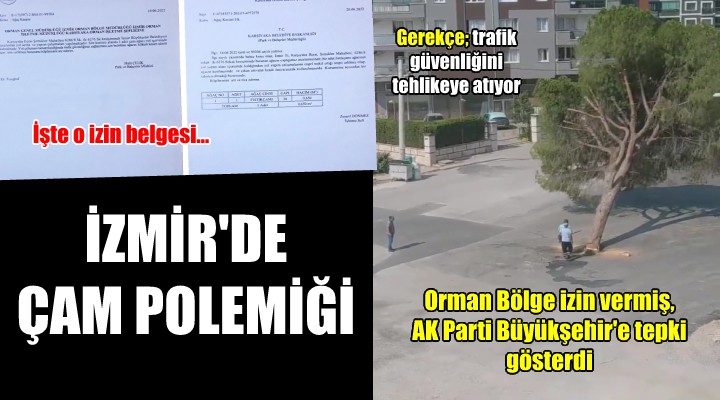 İzmir de kesilen çam polemiği... Orman Bölge izin verdi, AK Parti tepki gösterdi!