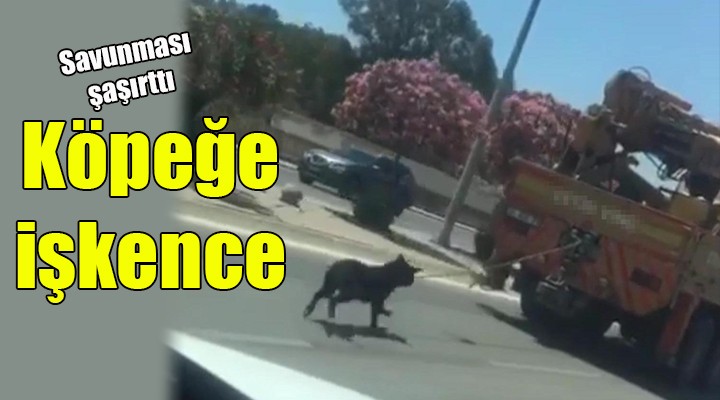 İzmir de köpeğe işkence