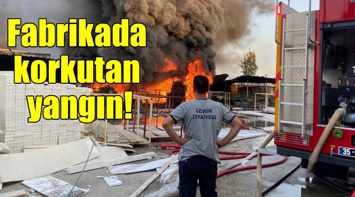 İzmir de korkutan yangın...