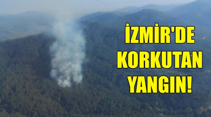 İzmir de korkutan yangın!