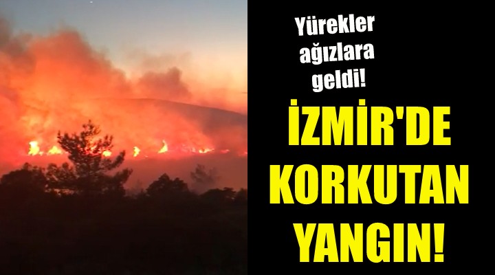 İzmir de korkutan yangın!