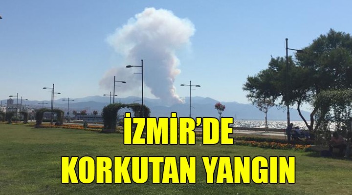 İzmir de korkutan yangın!