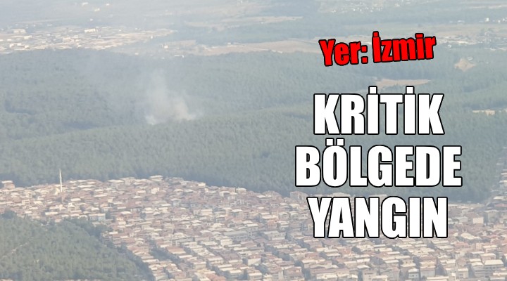 İzmir de kritik bölgede orman yangını