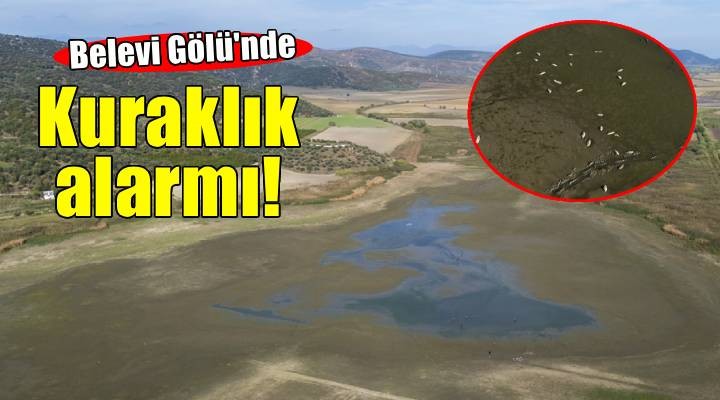 İzmir de kuraklık alarmı: Belevi Gölü su seviyesinde büyük düşüş!