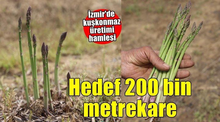 İzmir'de kuşkonmaz üretimi hamlesi: ''Elimizden gelen gayreti göstereceğiz!''