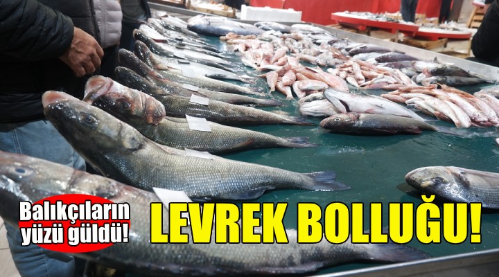 İzmir de levrek bolluğu!