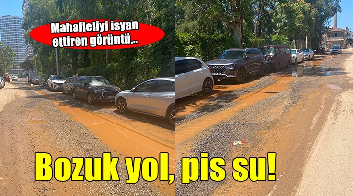 İzmir'de mahalleliyi isyan ettiren görüntü!