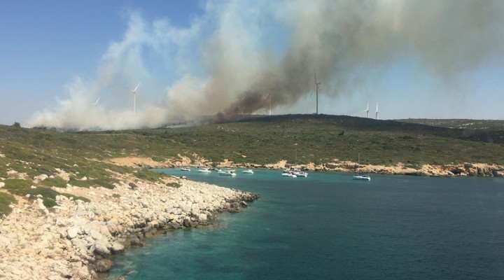 İzmir de makilik alanda yangın