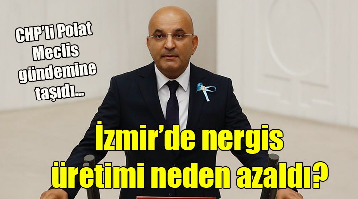 İzmir de nergis üretimi neden azaldı?