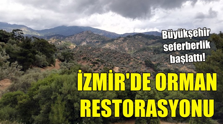 İzmir de orman restorasyonu!