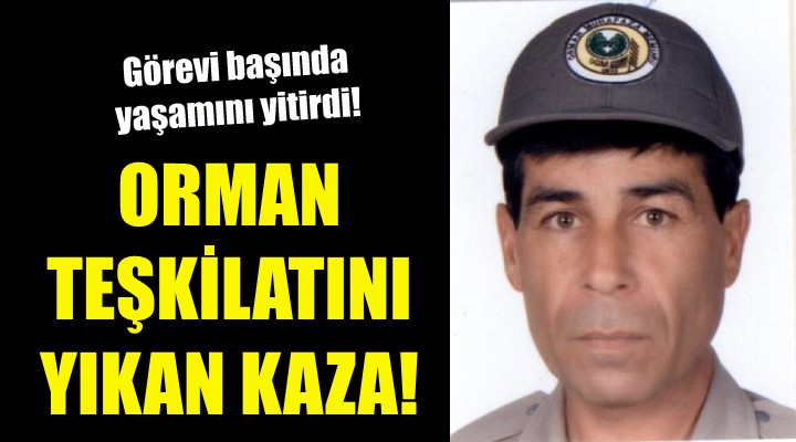 İzmir de orman teşkilatını yıkan kaza!