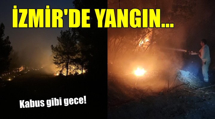 İzmir de orman yangını...