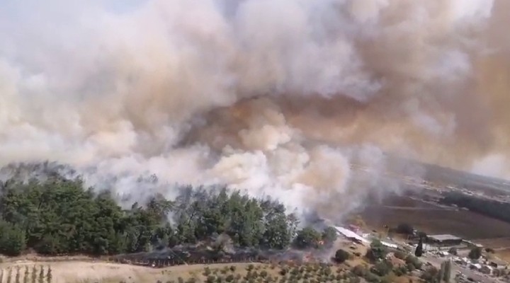 İzmir de orman yangını...