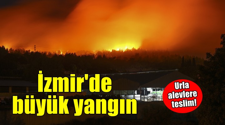 İzmir de orman yangını..