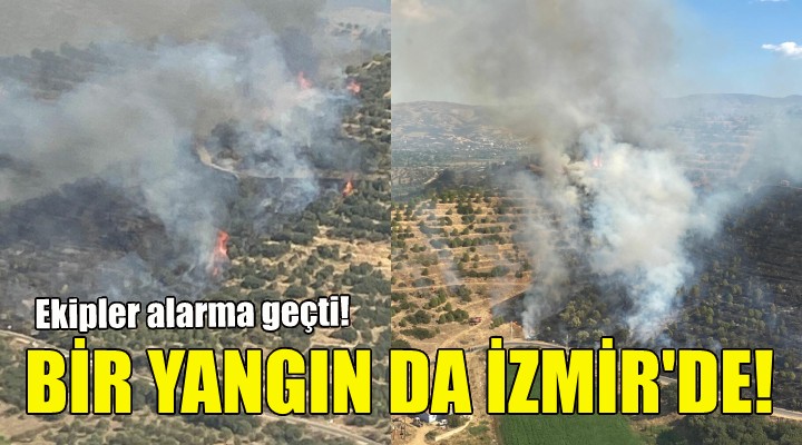 İzmir de orman yangını!