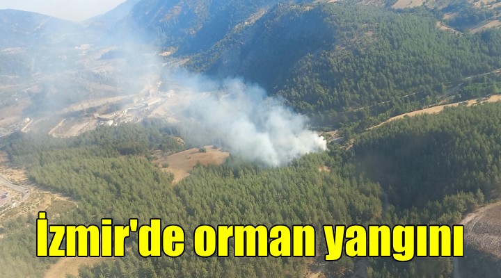 İzmir de orman yangını